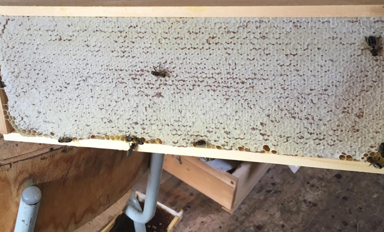 E0A0D896-27E6-43E5-9FFB-4C2779B3A363