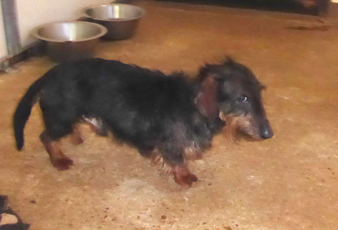 [Image: P1020931.jpg]