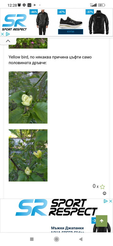 Screenshot_2023-03-23-12-28-26-003_com.android.chrome