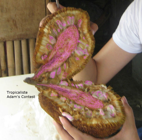 File0388Marang