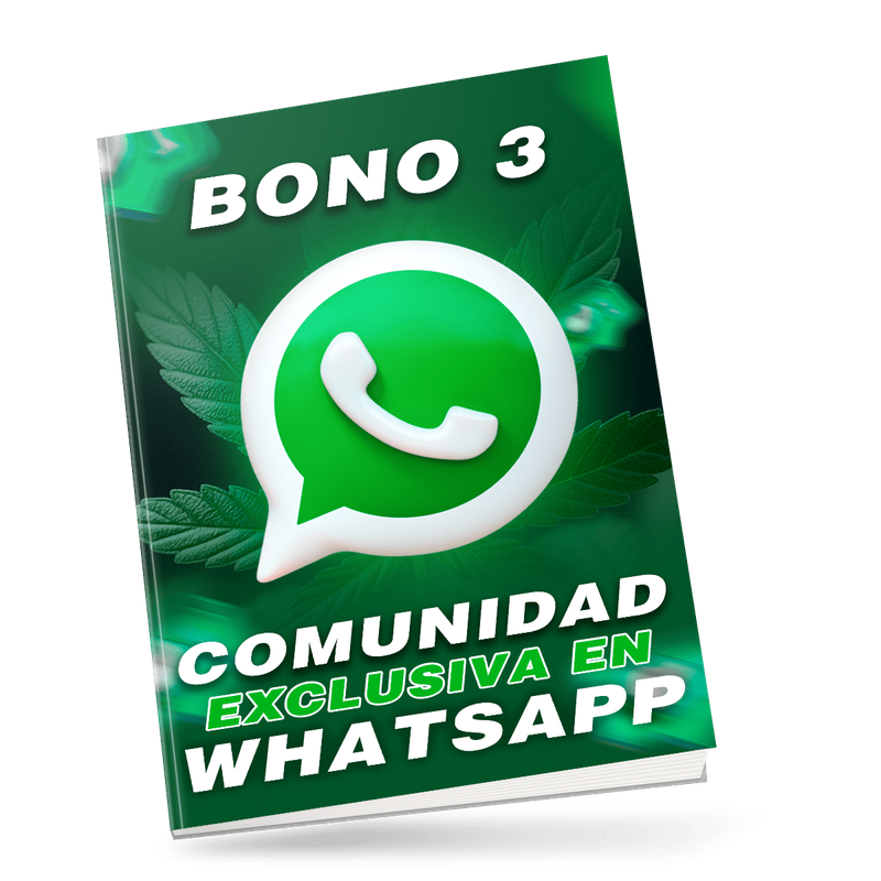 Bono 3 Comunidad