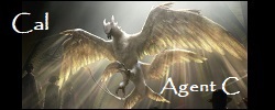 Cal-Siggy-Agent-C-9-21-2019-250x100.jpg