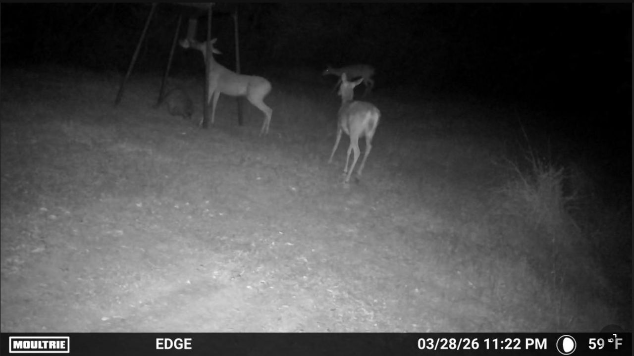 Screen Shot 2026 03 29 at 3 15 13 PM