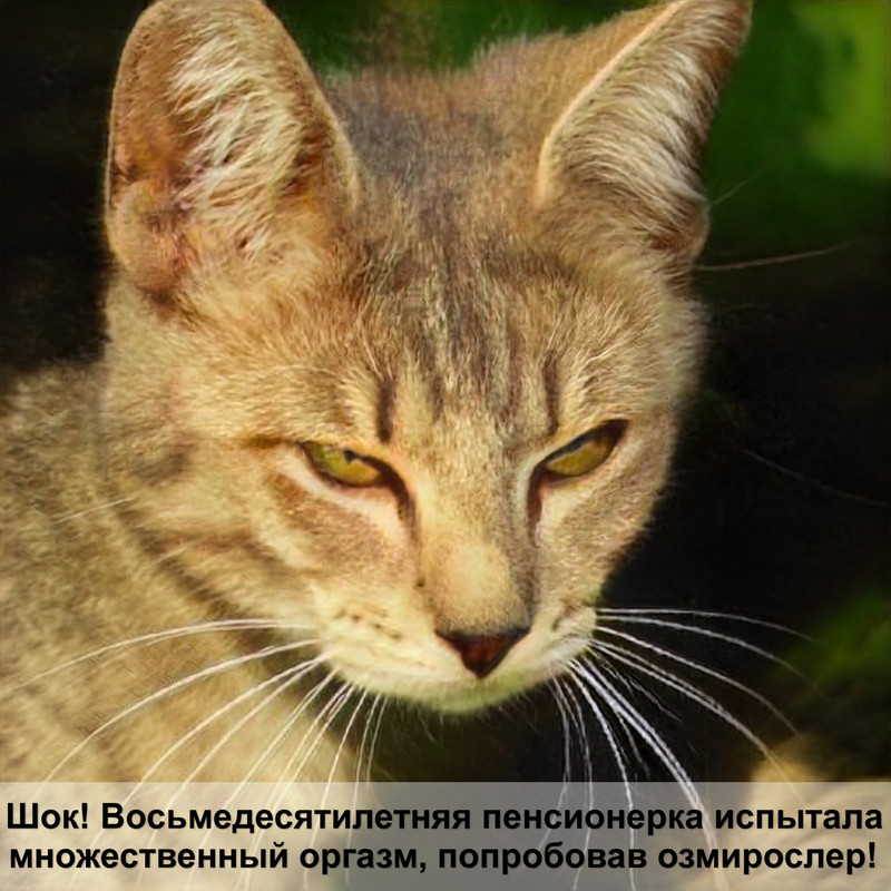 самая большая кошка хищник