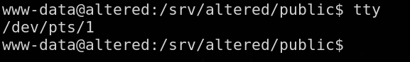 tty
