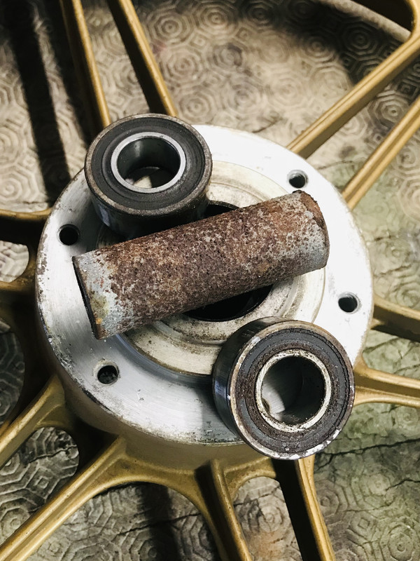 141D753A-27D5-4807-AB33-406A7F9AF1E7