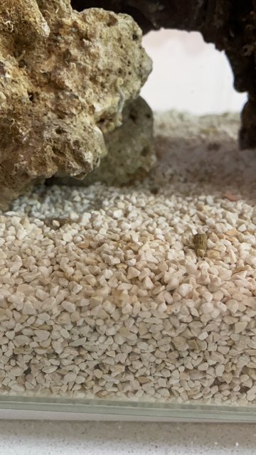 D44ED5DA-C6C2-4087-9CEE-8465D95E57D1