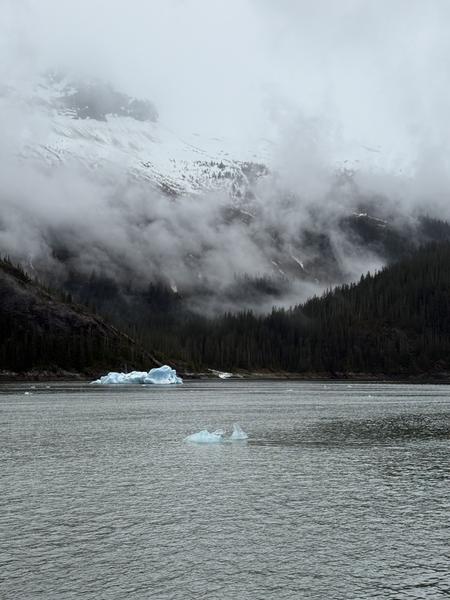 IMG-1820.jpg