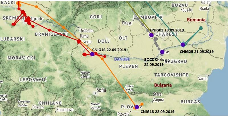 Black Stork Tracks Page 283 Looduskalender