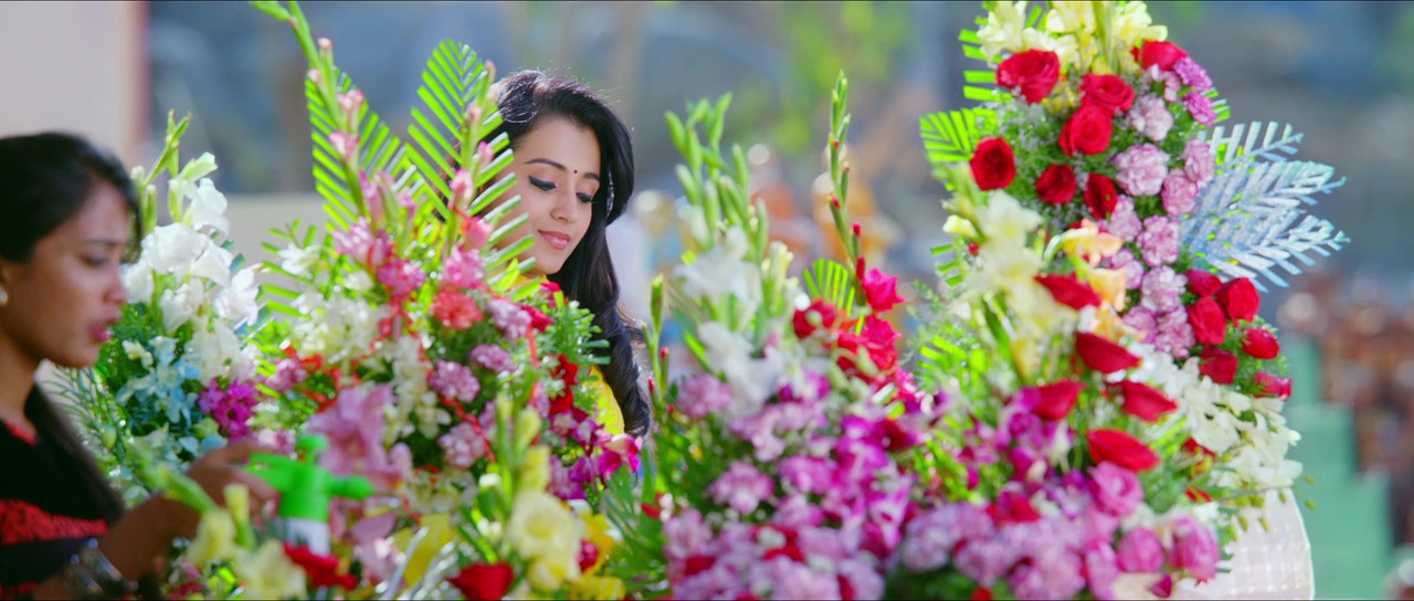 vlcsnap-2020-12-26-14h16m16s267