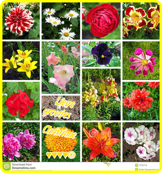 blog23juni.png