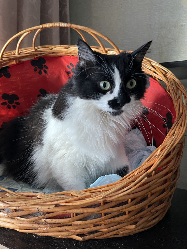 9E45A76E-C8CC-4DCD-A057-89A67FCAD1D3