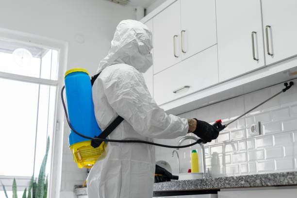 Termite-Treatment-4.jpg