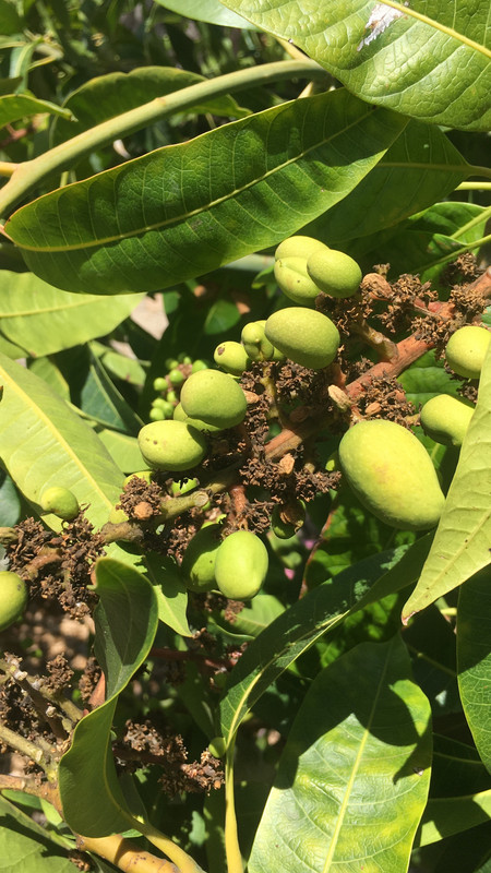 191B1363-5593-4134-8483-19617B9AFEC5