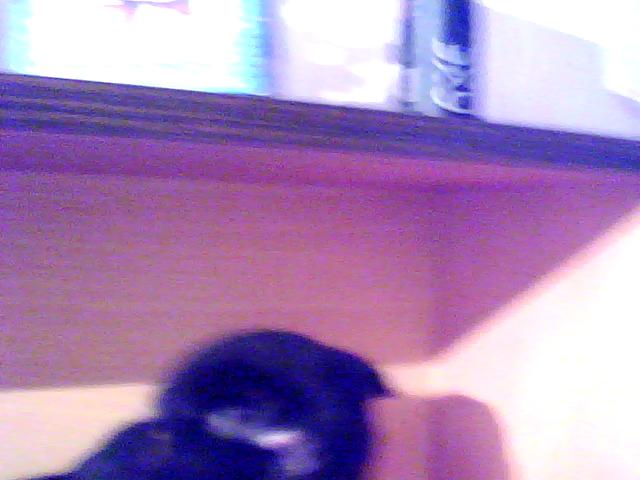 Изображение 024