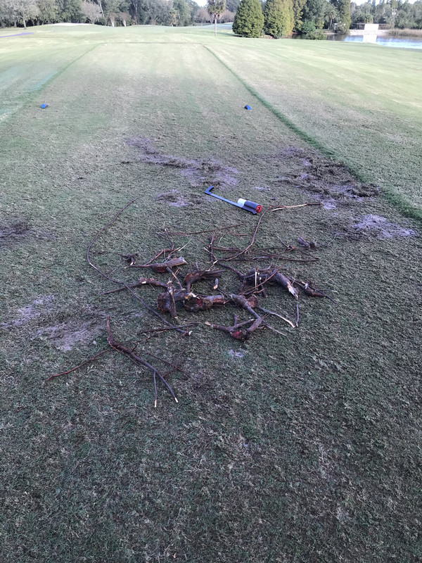 3E487DD0-87D8-43A4-A3B3-5B9D4F540ED6