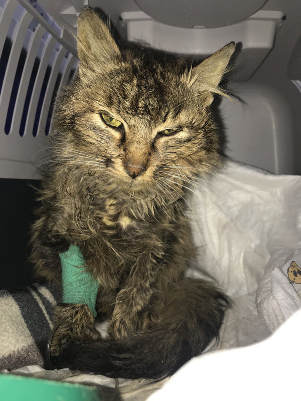 765105C9-ABB1-4A2D-9A5B-403761A242E5