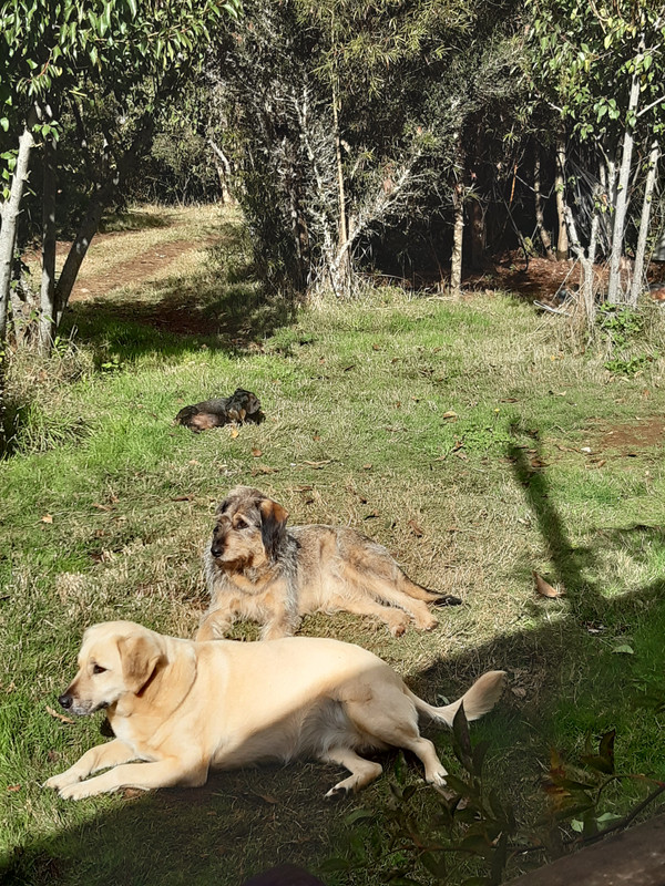 [Image: 20240419-141425.jpg]