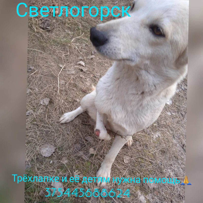 IMG-9b84269360299e5fffd035b5bfaa1f7a-V