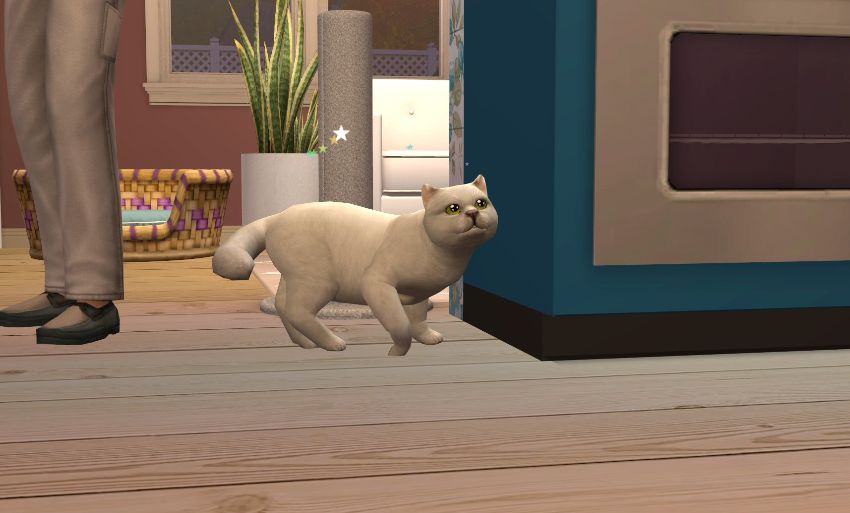 Sims2-EP9-2020-11-18-21-32-34-61