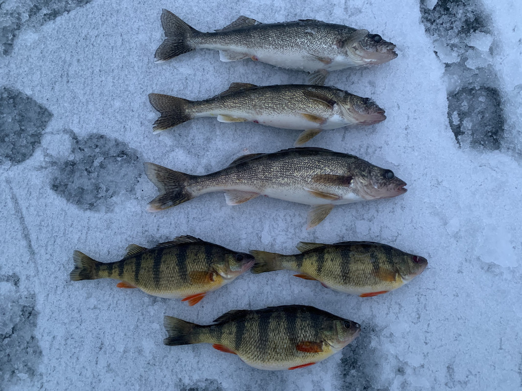 9EBE29B7-603B-4A25-9C8E-689FD1B5194B