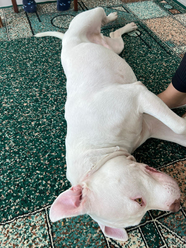 816760AB-7A0B-40D3-97C5-423AC21E80C3