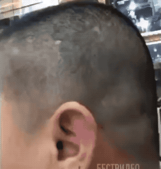 GIFs-2
