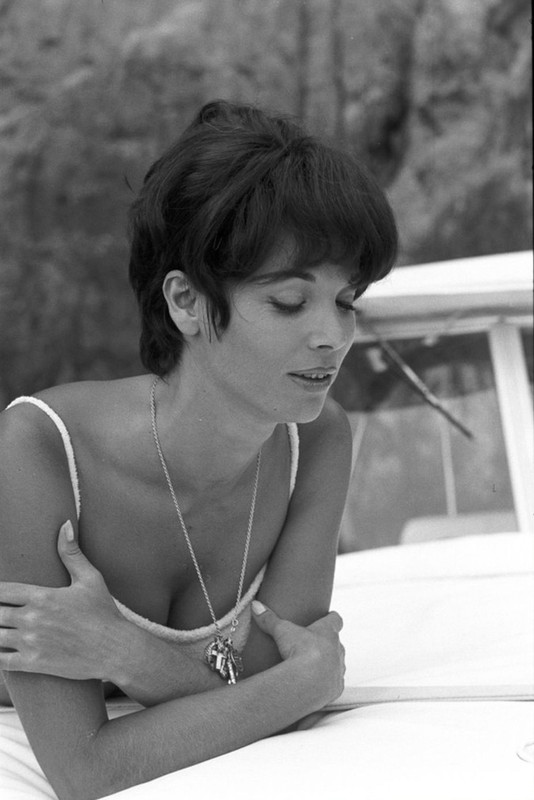 elsa_martinelli_e67