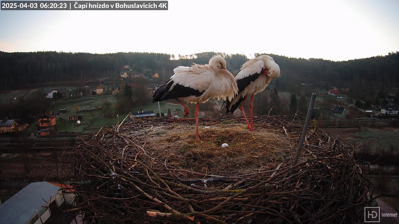 Tiešraidē no uzņēmuma KARA stārķa skursteņa Bohuslavicē pie Trutnovas 9-13-54 screenshot