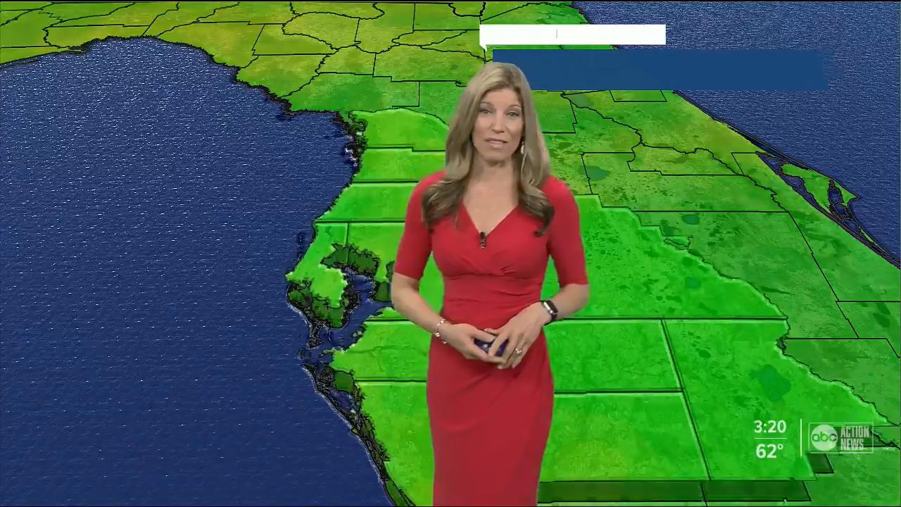 23 December - 20.00.00 - ABC Action News at 3 00 p.m..ts_snapsho