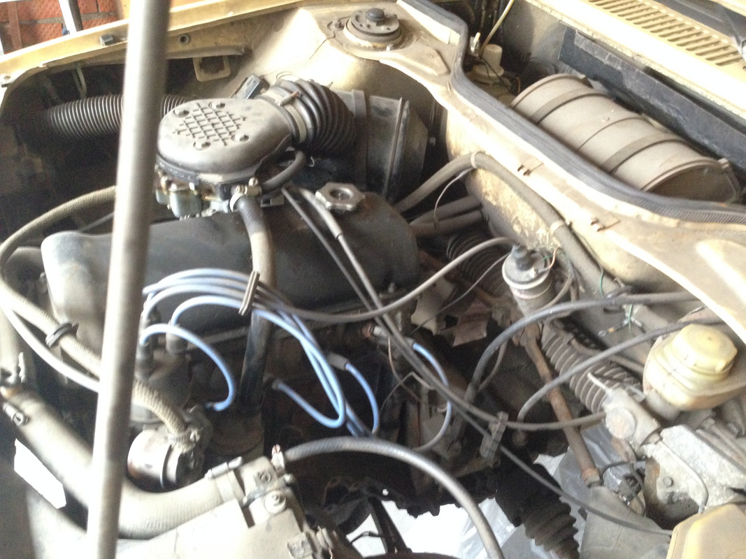 общие_фото (4)