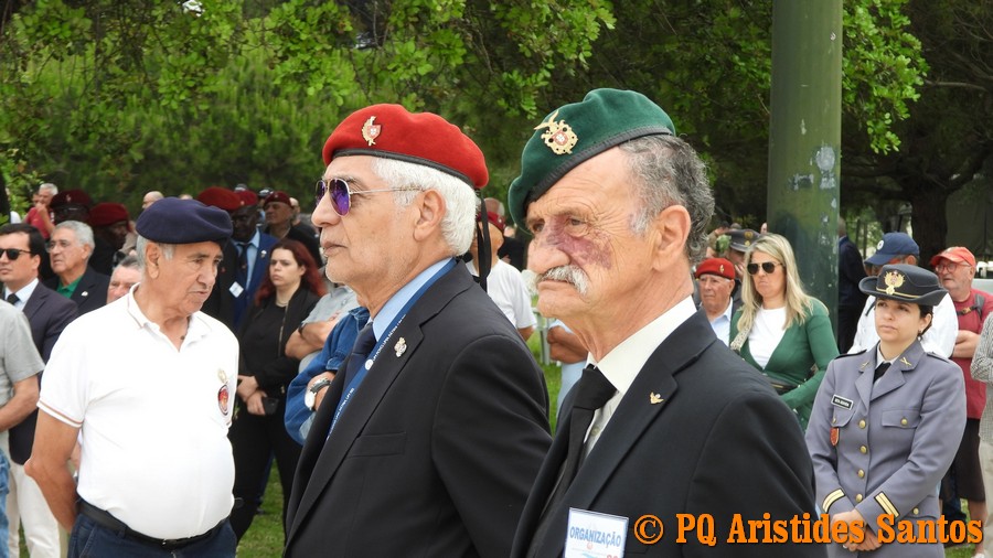 505406884-2426593791056131-2282469462516265325-n