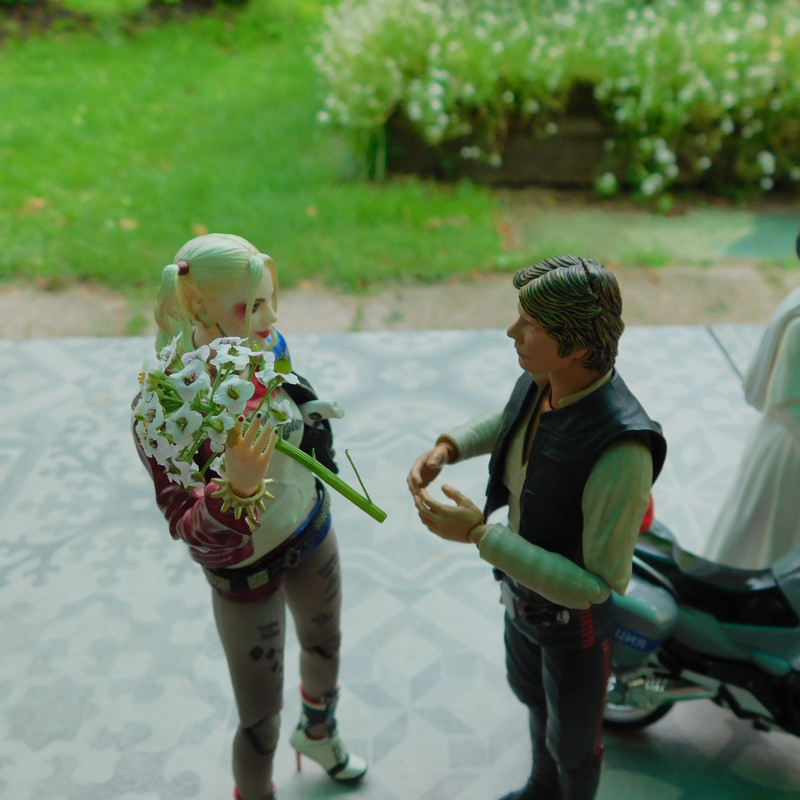 Дачное Маттел к Хелл 2025, Харли и Ко продолжение 314