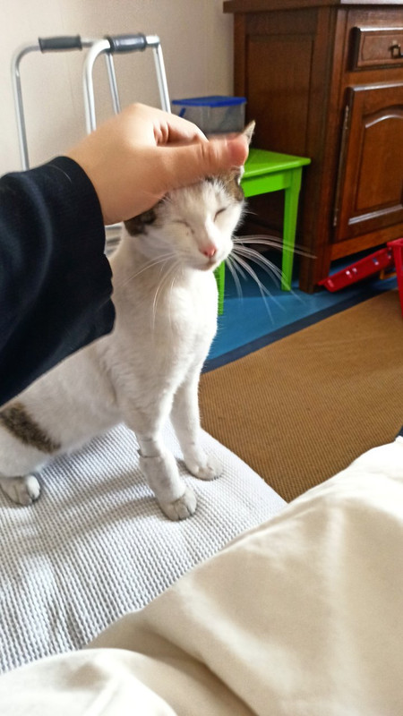 https://i.postimg.cc/CLg2XkWt/IMG-20210312-100739.jpg