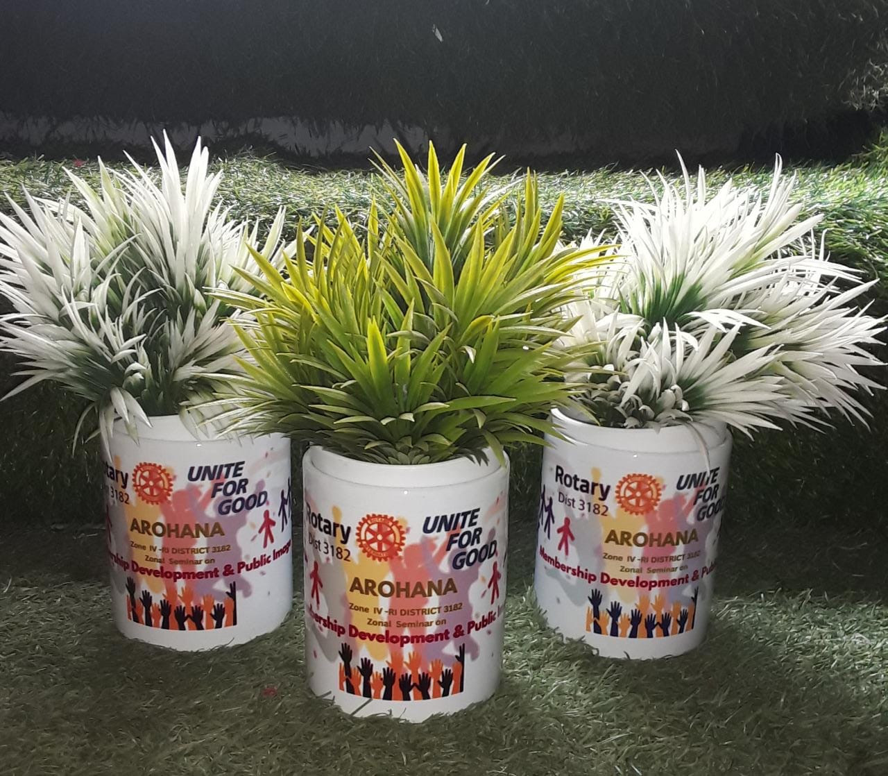 Mementos & Trophies image 11