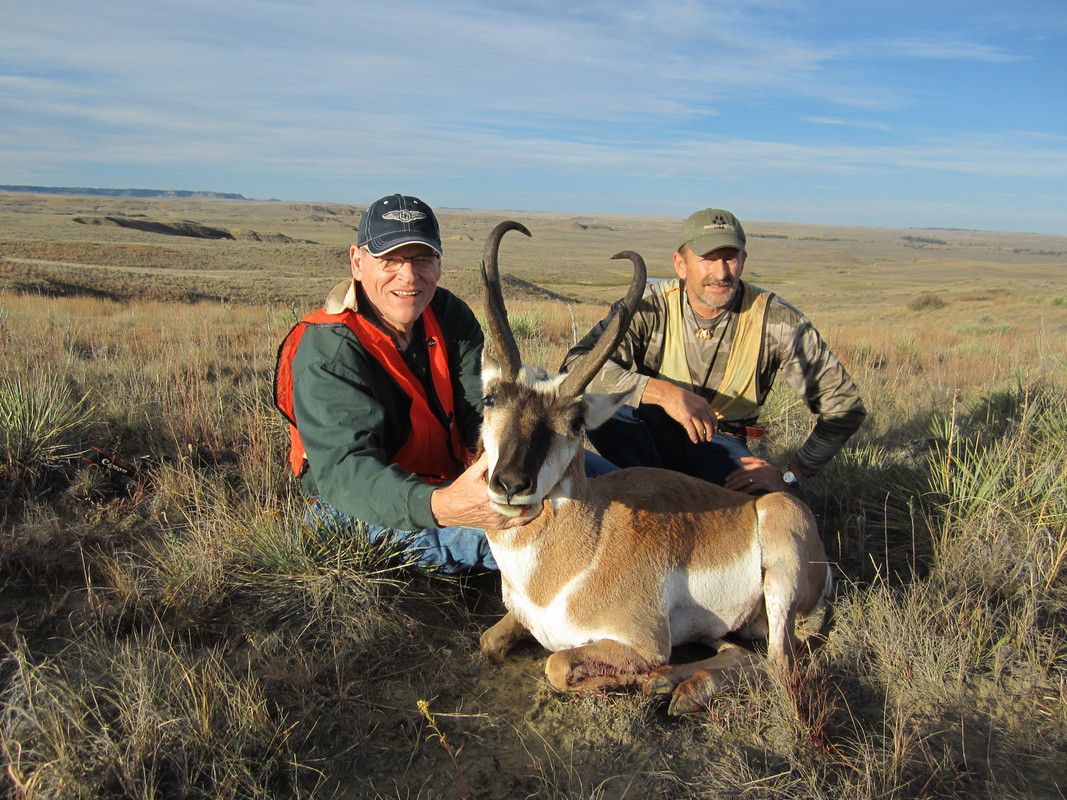 antelope 012