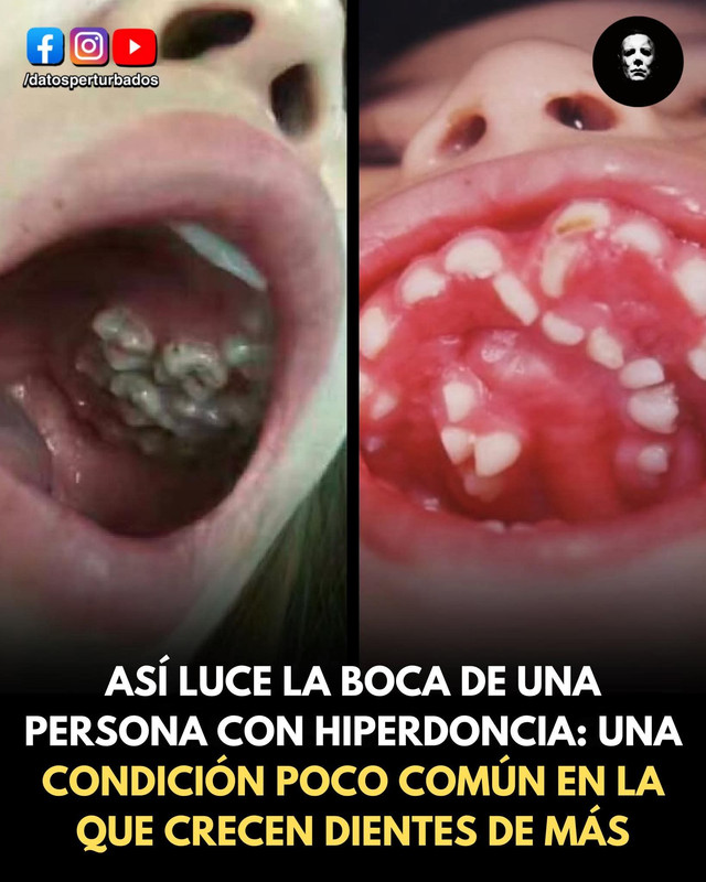 FB IMG 1768162775675