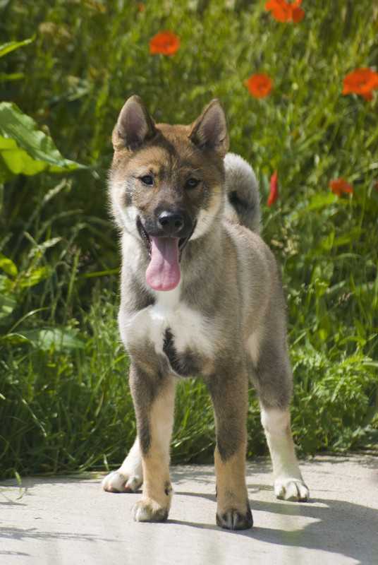 1BF4EFAF-D500-4698-8333-63F06DAB39EA