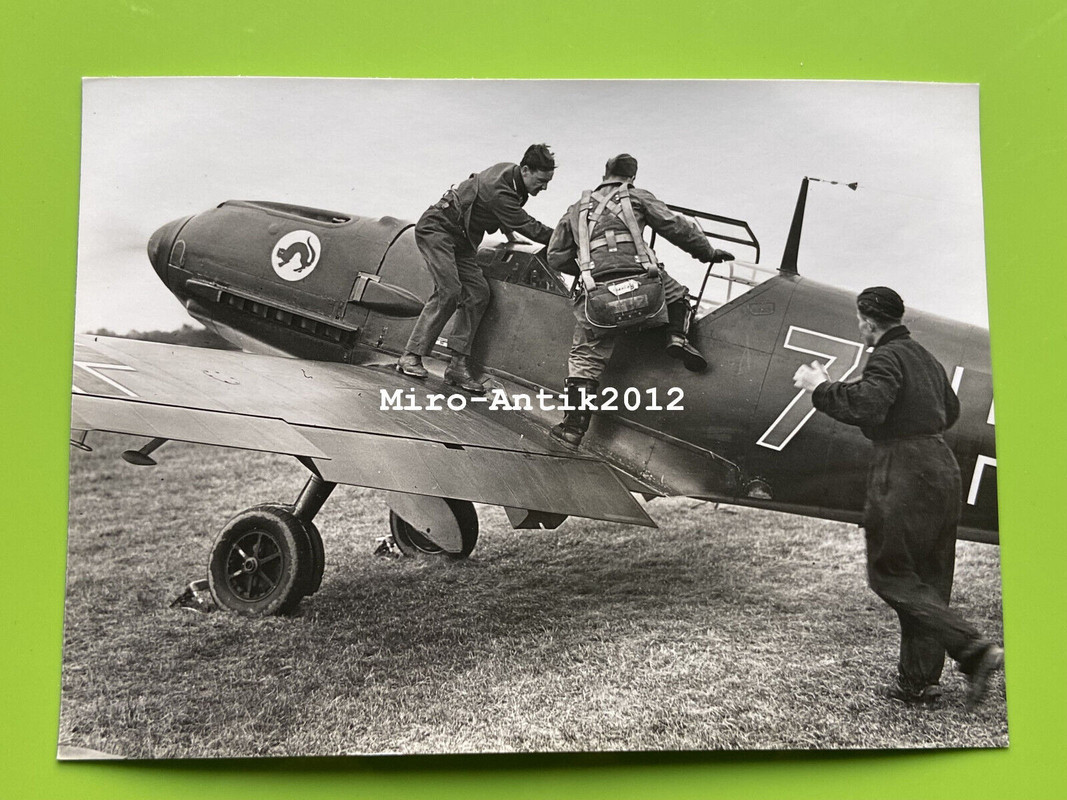 Gross Foto, O.K.W., Flugzeugführer Messerschmitt Bf 109, Maling (N)50720