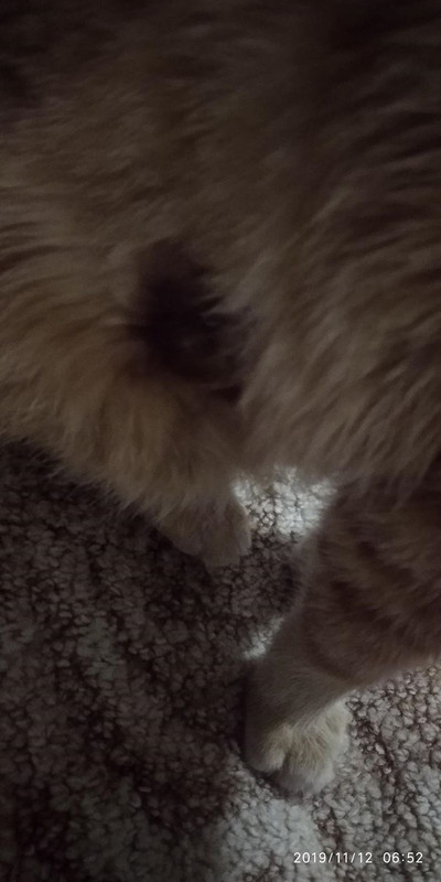 D1A5675F-FE3B-46F3-AF99-7E5D8285B0B6