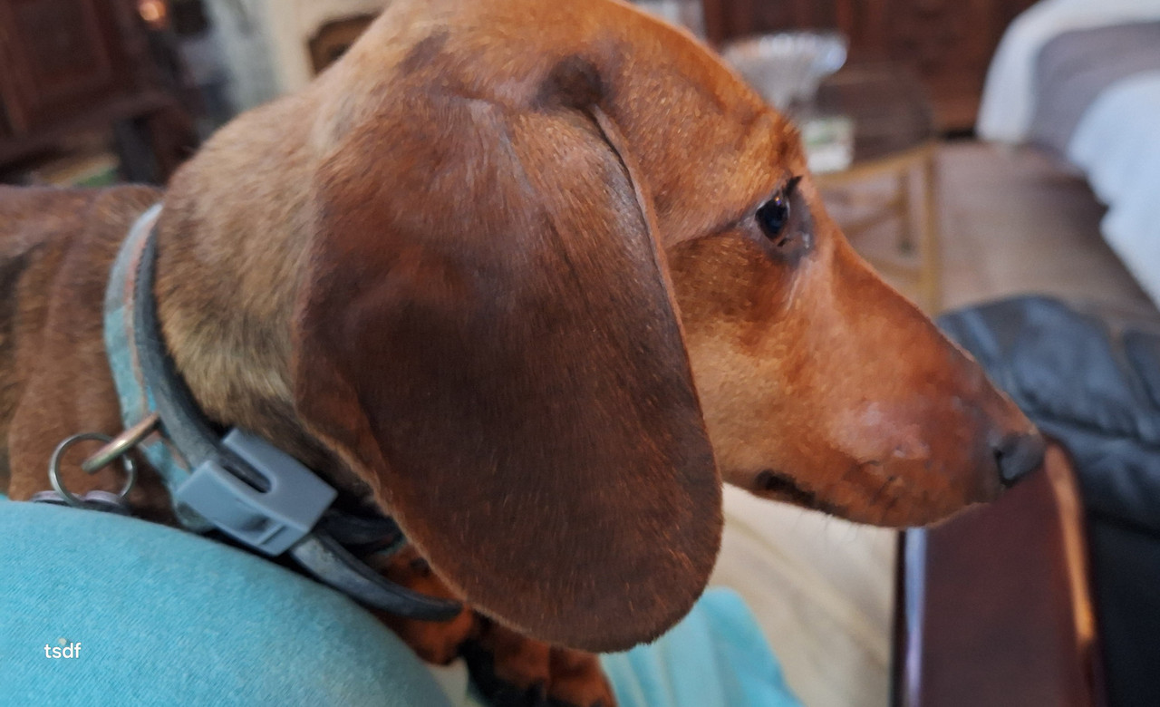 [Image: 20250720-203832.jpg]