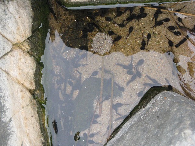 1D5C65A9-8498-461F-AE62-F778EAA271F5