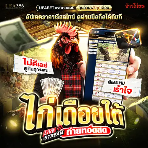 ไก่เดือยใต้ ดูไก่เดือยสด ผ่านมือถือ ถ่ายทอดสดไก่ชน