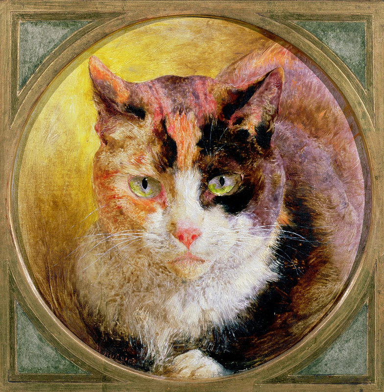 William-Huggins-A-Head-Study-of-a-Tortoiseshell-Cat-1866-Meister-Drucke-303505