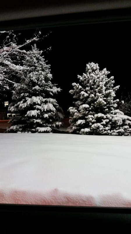 9-inch-snowfall-7.jpg
