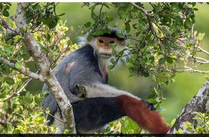 Screenshot-2020-11-10-12-23-26-903-org-m