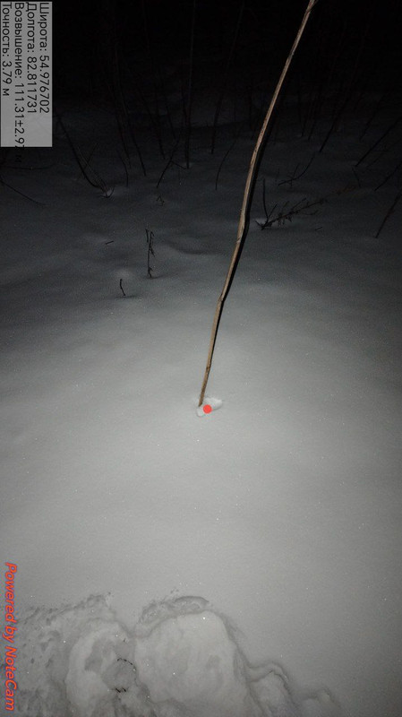 photo 1 2026 03 03 02 36 12