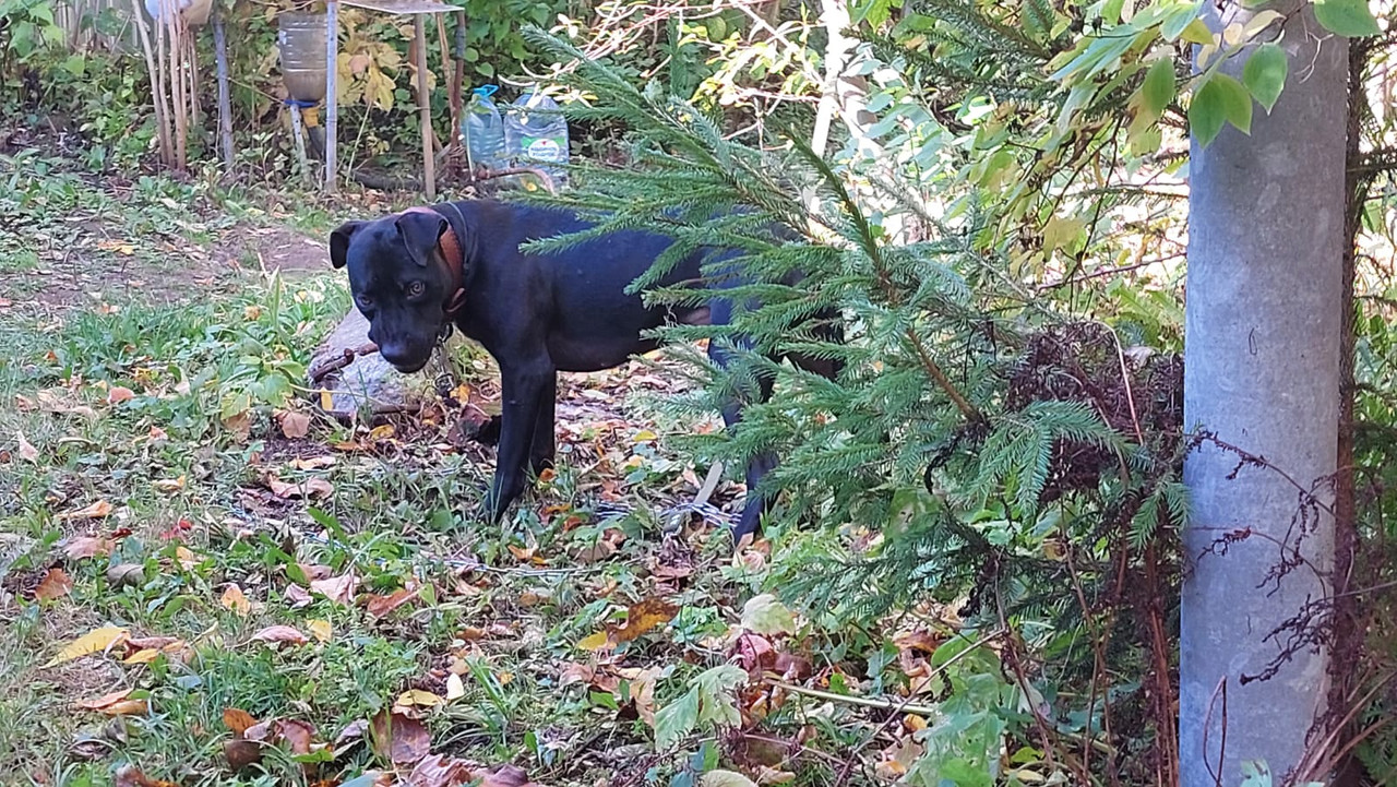 DC0D4F8F-82B7-4BB4-815E-EE96750100B2