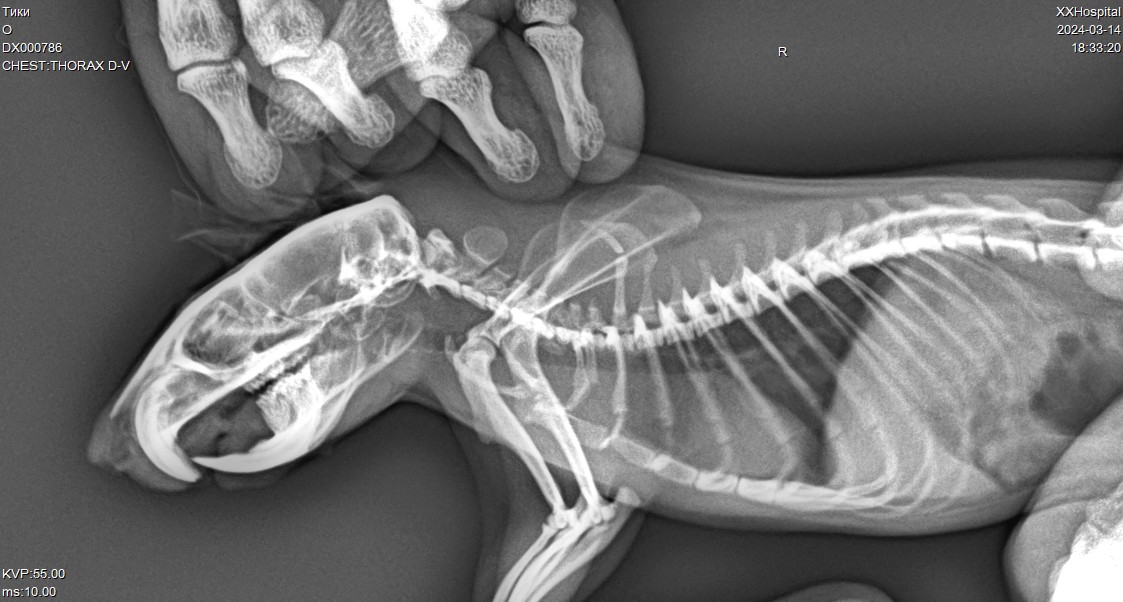 29893B16-BC0A-4F34-9B8D-92F8904A1321