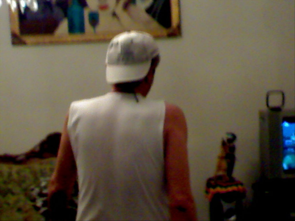 volghanhosseini (1039)